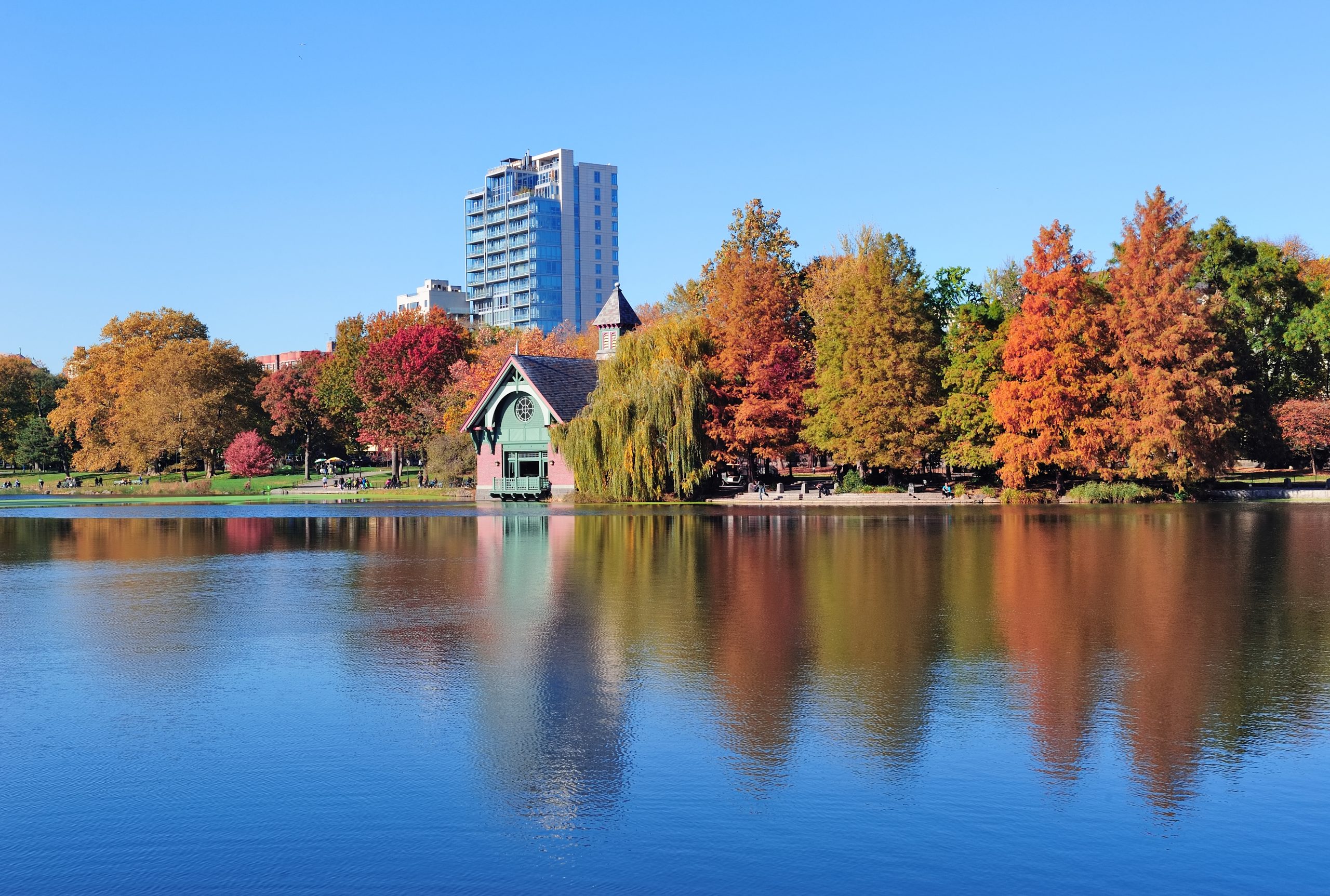 new york city central park autumn scaled